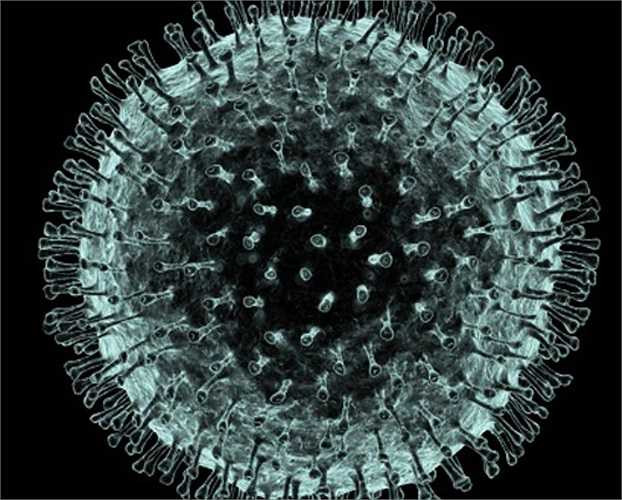 5. Hội chứng hô hấp cấp tính nặng (SARS) là một bệnh hô hấp do SARS coronavirus. Dịch SARS ở Hồng Kông trở thành một đại dịch hồi cuối năm 2002 đến tháng 7 năm 2003. Tổ chức Y tế thế giới (WHO) đã ghi nhận có 8.273 trường hợp mắc, trong đó 775 người bị nhiễm trong đợt dịch này đã chết vì SARS.