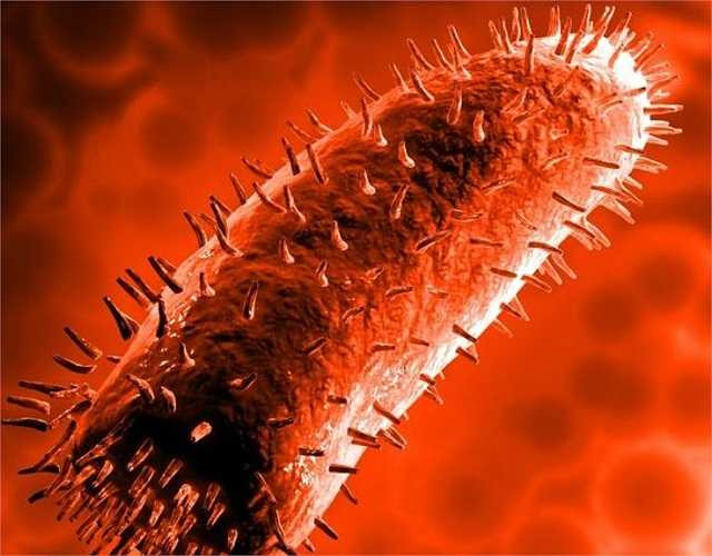 6. Virus Rabies gây bệnh dại là một trong những loại virus có tỉ lệ tử vong cao nếu không được tiêm ngừa khi bị người hoặc động vật nhiễm virus này cắn và hiện vẫn là mối lo lớn ở nhiều khu vực đang phát triển. Theo Tổ chức Y tế Thế giới (WHO), ước tính mỗi năm châu Phi và châu Á có khoảng 55.000 người chết vì virus Rabies.