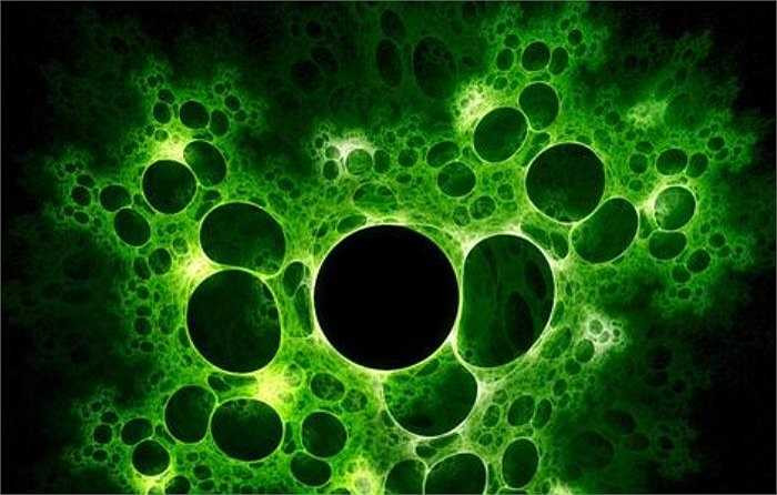 9. Virus cúm A có hai loại chính của dòng gây bệnh cúm: cúm gia cầm và cúm lợn, các chủng H5N1, H7N9 và H1N1 có độc lực cao. Cúm A/H1N1 là chủng virus gây bệnh ở người nghiêm trọng nhất trong năm 2009 tại Trung Quốc với hơn 120.000 người đã bị nhiễm virus, trong đó 648 người đã tử vong. 