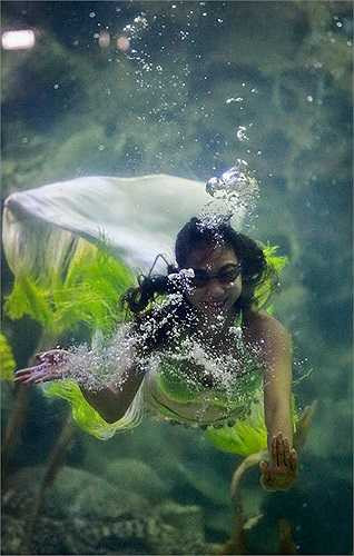 Thực tế, vì lặn ngụp thường xuyên trong nước mặn, các cô gái phải chịu mất làn da đẹp. Chính vì vậy, tuổi nghề của mỗi nàng tiên cá chỉ từ 2-3 năm, và ai cũng phải tính chuyện làm một công việc khác ổn định hơn. Như trường hợp của Na, cô kiêm thêm hướng dẫn du khách tham quan tại thủy cung. (Theo Tuổi trẻ)