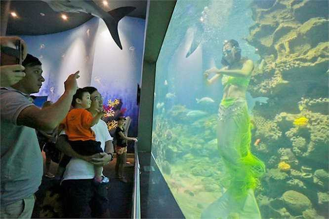 Nàng tiên cá Nguyễn Thị Mỹ Hạnh nhận làm bán thời gian cho hai suất diễn mỗi ngày, thời gian còn lại Hạnh biểu diễn tại các nhà hàng, tiệc cưới, hoặc ở nhà phụ giúp gia đình bán tạp hóa. (Theo Tuổi trẻ)