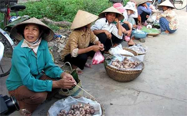 Cứ sau vụ lúa mùa (rơi vào rằm tháng chín âm lịch) hàng năm, người Ý Yên lại ý ới hò nhau đi bắt chuột. Trên cánh đồng chỉ còn trơ gốc rạ là từng tốp người đang mải mê chộp những con chuột béo múp, đang chui ra khỏi hang tìm đường thoát thân.