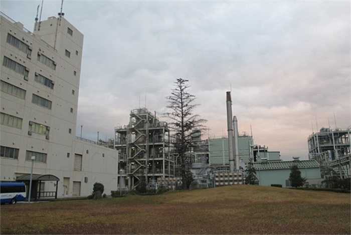 Chi phí đầu tư nhà máy không quá lớn so với quy mô một phần quan trọng nhờ công ty phát minh ra được dây chuyền tái chế, thay vì đi mua. Vì thế, tài sản quý giá nhất của công ty được cho là dây truyền tái chế rác hiện đại.