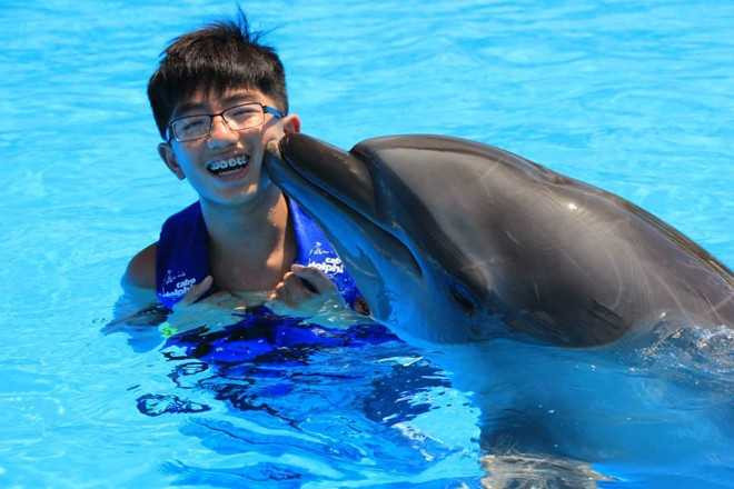 Tuy nhỏ tuổi nhưng chàng trai này đạt nhiều thành tích đáng nể.