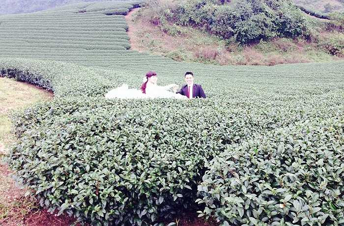 Hình thành tuyến du lịch liên quốc gia Mộc Châu - Lào qua cửa khẩu Lóng Sập và kết nối mở rộng sang các nước ASEAN như: Thái Lan, Myanma…; Phát triển các tuyến du lịch nội vùng từ Thị trấn Mộc Châu tới các điểm tham quan, điểm di tích văn hóa - lịch sử trong Khu Du lịch Quốc gia Mộc Châu...