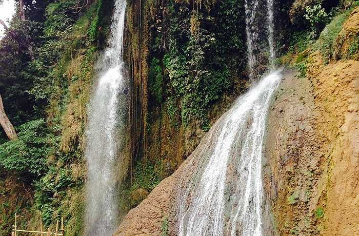 'Chè' - loại cây đặc trưng của cao nguyên Mộc Châu. Không chỉ là một loại cây trồng đặc sản, 'Chè' còn là sự kết tinh của truyền thống văn hóa nông nghiệp ở Mộc Châu và được coi là một trong những đặc sản quý nhất của cao nguyên Mộc Châu. Ngoài ra cảnh quan đồi chè cũng là một nét đặc trưng của Mộc Châu và là điều kiện thuận lợi để phát triển các tour du lịch sinh thái nông nghiệp. 