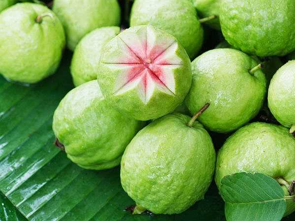 Ổi là nguồn cung cấp vitamin C phong phú hơn cả những trái cây họ cam quýt. Chúng cũng giúp cơ thể tăng cường khả năng miễn dịch. Kali và magiê có trong ổi rất tốt cho cơ thể.