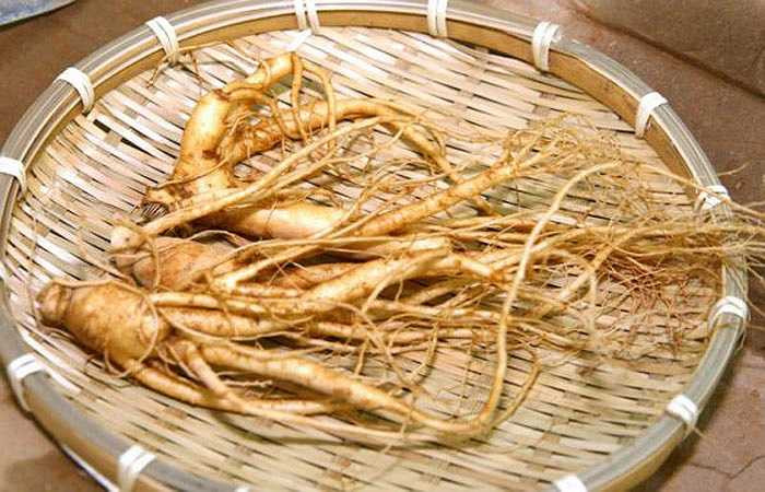 Trong chè có dược chất chống với sâm, khi uống hai thứ này với nhau vô tình làm vô hiệu hoá sự bổ dưỡng của sâm. Bạn cần dùng hai thứ này cách nhau ít nhất 2 giờ.