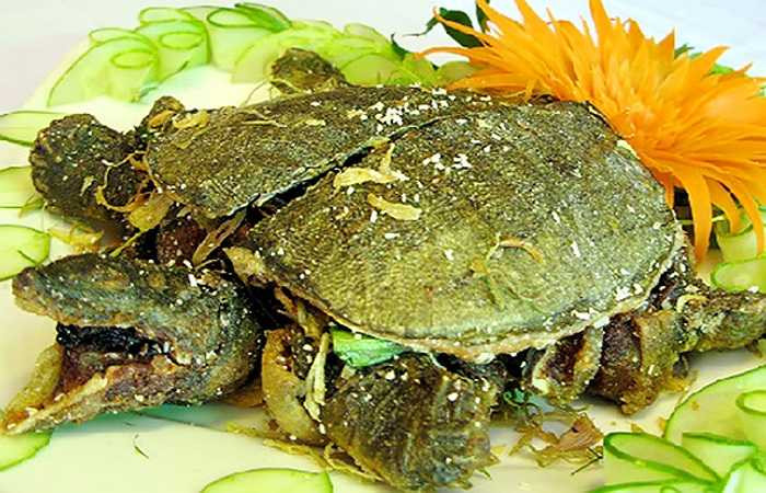 Thịt ba ba chứa nhiều hoạt chất sinh học, trứng gà chứa hàm lượng đạm chất lượng cao, hai thứ ăn chung sẽ khiến chất đạm bị biến chất, làm giảm giá trị dinh dưỡng. Một lưu ý nữa là thai phụ và sản phụ tuyệt đối không nên ăn chung hai thứ này.