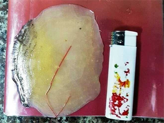 Con cá một nhà hàng tại quận 9 mua để xẻ thịt và bán hết chỉ trong vài ngày. Giá bán cho thực khách không được tiết lộ, tuy nhiên theo nhiều người, giá khi vào nhà hàng sẽ tăng đến 2 - 3 lần tuỳ thuộc vào từng bộ phận cá và thực khách phải đặt trước rất lâu. Dù loài cá hô đã được nhân giống và nuôi công nghiệp nhưng nuôi rất khó, chậm lớn và thịt không ngon bằng cá tự nhiên. Trong ảnh, một chiếc vảy cá hô lớn hơn rất nhiều lần chiếc bật lửa.