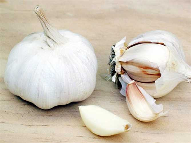 Tỏi để lâu: Hãy đảm bảo rằng tỏi mà bạn dùng với mục đích chữa bệnh vẫn còn tươi, chứ không phải là loại tỏi đã để quá lâu. Các hoạt chất trong tỏi tươi mạnh hơn, hiệu quả hơn rất nhiều so với tỏi đã để lâu. Tỏi hữu cơ là một lựa chọn tốt hơn cho sức khỏe. 
