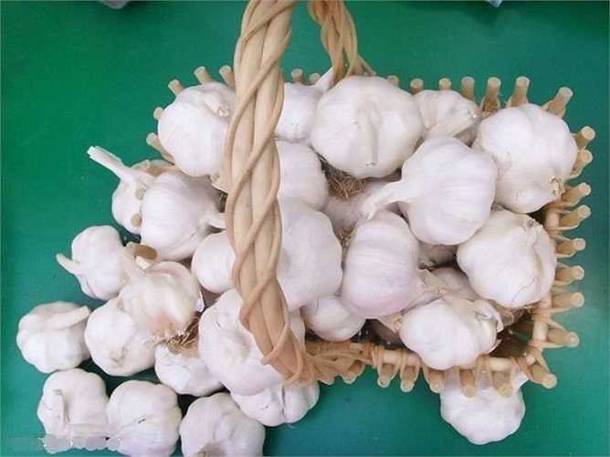 Người có sức đề kháng yếu: Theo kinh nghiêm, ăn tỏi nhiều sẽ tiêu hao khí của con người, đồng thời cũng tiêu hao cả máu, tỏi hăng, nóng, có độc, sinh đờm động nhiệt, tản khí hao máu. Vì vậy, người có thể chất kém, khí huyết yếu cần chú ý.