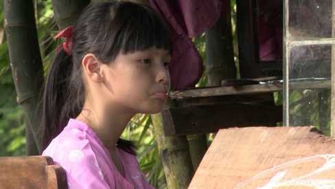 bố ơi mình đi đâu thế