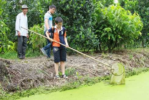 Và chàng nông dân Nguyễn Lam Điền đang cần mẫn vớt bèo...