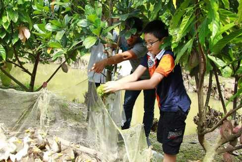 ...và cho vịt ăn.