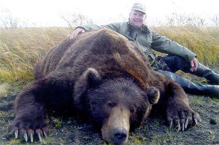 Đây là loài gấu khổng lồ, lớn nhất trong họ nhà gấu. Cá thể đực trưởng thành có trọng lượng lên tới gần 1.000 kg. Chiều dài cơ thể khi đứng của chúng cao khoảng 3m.