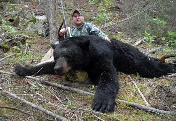 Là loài động vật phàm ăn nên gấu nâu lớn nhanh như thổi. Chỉ chừng một tháng tuổi gấu con có thể đạt trọng lượng 5 - 6kg.