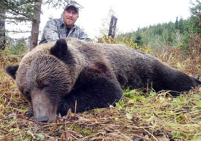 Chỉ còn một số ít vùng, trong đó có Alaska là còn giữ được số lượng tương đối.