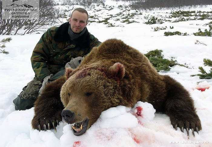 Trong vòng hơn 100 năm qua, có duy nhất 3 trường hợp ghi nhận bị gấu nâu tấn công tại Scandinavia, đều là do con người cố tình trêu chọc chúng.