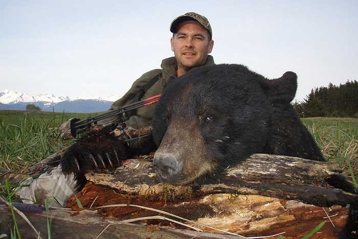 Loài gấu cực kỳ hung dữ này có sở thích ăn tạp và thường hoạt động về ban đêm. Thức ăn hàng ngày của gấu nâu là hoa quả chín, lá của các loài cây, có khi là những loài ngặm nhấm như chuột rừng, thỏ, sóc và cá hồi.