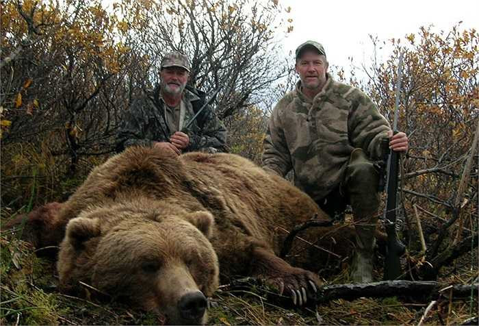 Chúng không thực sự ngủ đông như nhiều loài gấu xứ lạnh khác. 