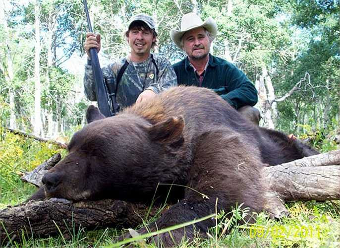 Tuy nhiên gấu nâu khổng lồ thích lẩn tránh trong những hang, hốc cây, góc khuất của rừng để tránh cái giá rét của mùa đông.