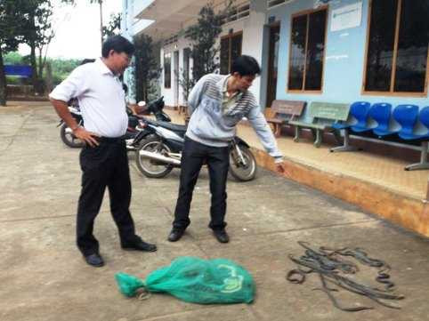  hàng trăm con rắn bò ngang đường bàn xã Xuân Thạnh, huyện Thống Nhất, tỉnh Đồng Nai