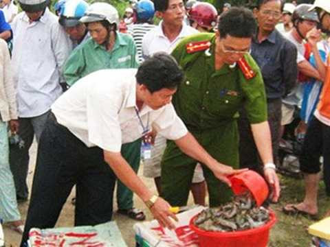 Cơ quan chức năng tỉnh Bạc Liêu đang kiểm tra một vụ tôm bơm tạp chất. 