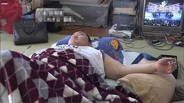 Thông thường, các sumo sẽ đi ngủ sau khi ăn no để vỗ béo