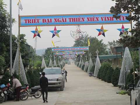 Cây thông 'siêu khủng' cao bằng nhà 10 tầng ở Nghệ An