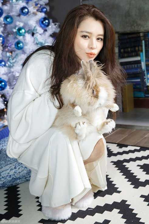 từ nhược tuyên