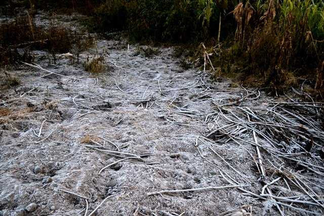 Lạnh 2,5 độ C, băng giá xuất hiện tại Ý Tý - Lào Cai