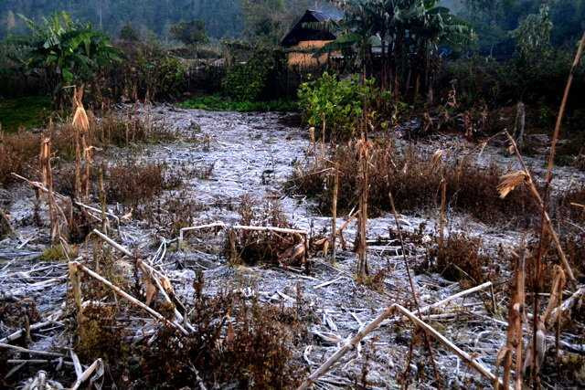 Lạnh 2,5 độ C, băng giá xuất hiện tại Ý Tý - Lào Cai