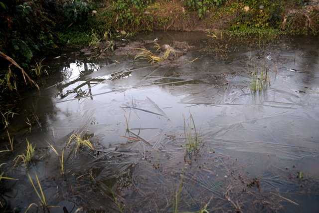 Lạnh 2,5 độ C, băng giá xuất hiện tại Ý Tý - Lào Cai