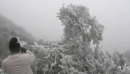 Miền Bắc giá rét, băng tuyết xuất hiện trên núi Sa Pa