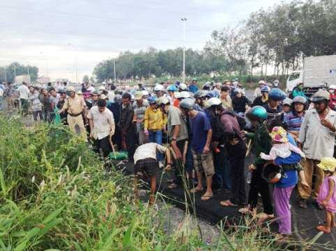 Rắn xuất hiện khắp nơi: Chuyên gia lên tiếng