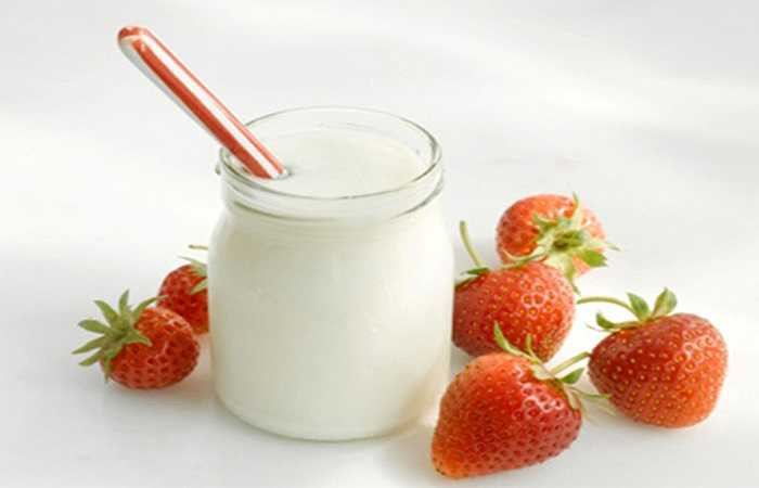 Sữa chua: Sữa chua tự nhiên thường chứa Lactobacillus acidophilus và Bifidobacterium bifidum. Đây là những vi khuẩn probiotic sống trong đường tiêu hóa hỗ trợ hệ tiêu hóa và chống lại sự phát triển của các vi khuẩn có hại cho cơ thể đồng thời điều trị đầy hơi. 