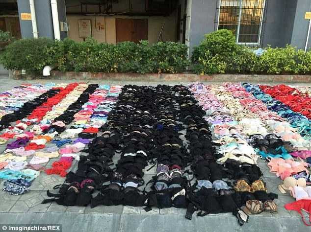 Số đồ lót bị ăn cắp