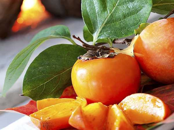 Cải thiện lưu thông: Quả hồng cũng có rất nhiều đồng, một khoáng chất giúp cơ thể hấp thụ sắt. Điều này tạo điều kiện cho việc tạo ra các tế bào hồng cầu trong cơ thể và làm tăng tuần hoàn máu, từ đó cải thiện chức năng nhận thức, trương lực cơ, năng lượng, và sự tăng trưởng của tế bào.