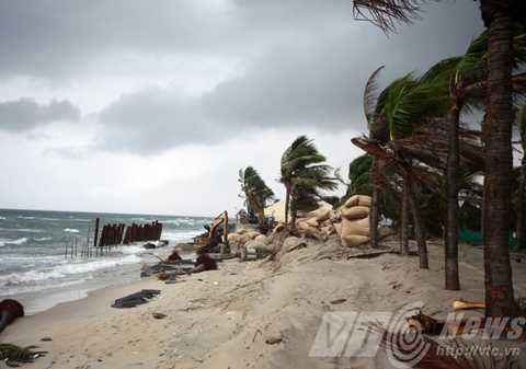 Quảng Nam ráo riết tìm phương án chống sạt lở được biển Cửa Đại