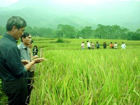 Hỏi biết trên đồng, show truyền hình thực tế sắp lên sóng VTC16