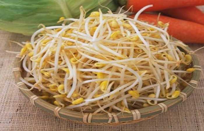 Giá đỗ: Những cọng giá tròn lẳn, thân trắng nõn, ít rễ là giá được ngâm ủ qua một công nghệ 'kinh dị': Khi hạt đỗ nảy mầm, người ta dùng phân bón lá trộn với các loại thuốc trừ sâu, đem pha loãng tưới lên mầm giá rồi ủ kín, thuốc có tác dụng thúc giá đỗ nảy mầm nhanh và phát triển hơn bình thường. Loại giá này khi xào sẽ có nước đục, ăn không ngon và dễ gây độc hại.