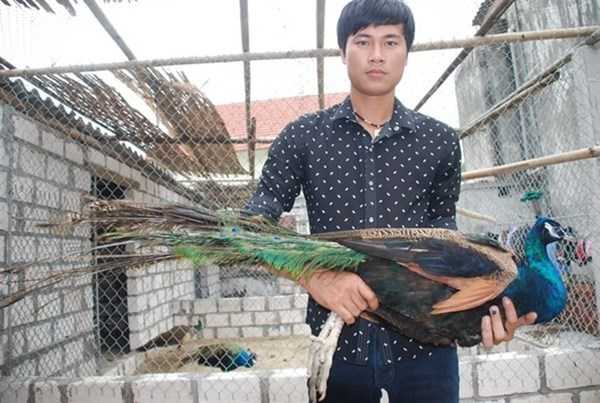 nghề dị thường
