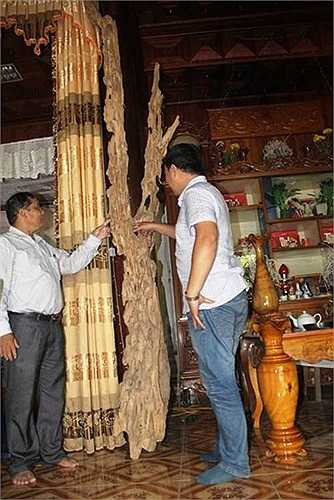 7. Báo Infonet đưa tin, gia đình anh Lê Văn Thọ (SN 1958) trú tại xóm 8, xã Phúc Trạch sở hữu hàng trăm kiệt tác gốc trầm tự chế trong nhà, khiến nhiều người không khỏi xuýt xoa tấm tắc. Đặc biệt, một gốc trầm gọi là 'cây gia bảo', được coi là “lộc” của gia đình anh. Ảnh: Infonet. 