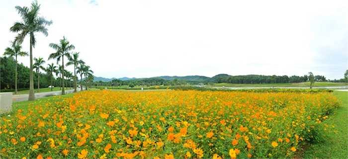 Flamingo Đại Lải Resort có cảnh quan thiên nhiên tuyệt đẹp