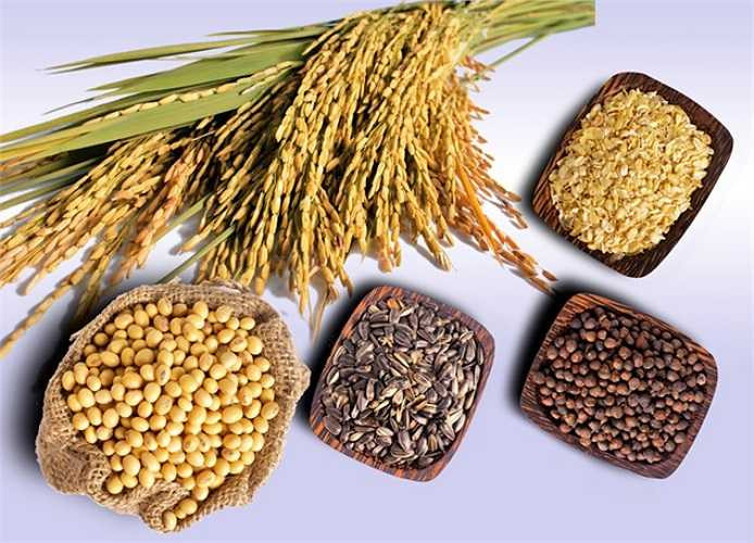 1. Tránh thức ăn gây táo bón: Khi bạn sử dụng các thức ăn ít chất xơ, ít chất lỏng, cộng thêm việc lười vận động có thể dẫn đến hiện tượng táo bón, đầy hơi. Để giảm thiểu hiện tượng này, bạn cần lựa chọn những thức ăn hoa quả chứa nhiều chất xơ. Đó có thể là những thức ăn từ ngũ cốc, các loại hạt, trái cây… 