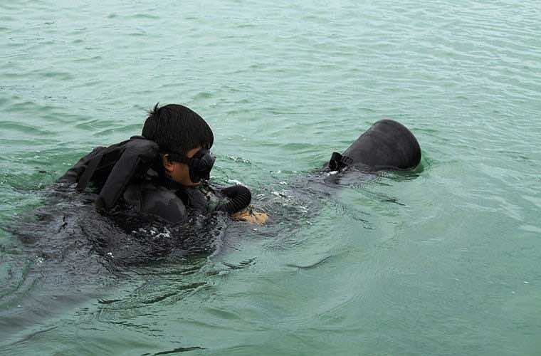 Hàng ngày, bình quân mỗi lính đặc công nước phải luyện tập bơi trên biển từ 15 đến 20km. (Theo Kiến thức) 