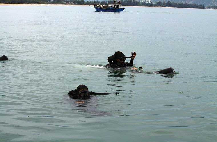 Hằng ngày, cùng với luyện tập các nội dung, kỹ thuật, chiến thuật, võ chiến đấu trên bờ và dưới nước, các chiến đấu viên đặc công nước còn luyện rèn sức chịu đựng bền bỉ, dẻo dai ở nhiều địa hình, độ sâu khác nhau trên biển và cách khắc phục, không chỉ với đối phương, mà còn cả cách đối phó với rắn, rết, các loại côn trùng cũng như các loại động vật, sinh vật biển gây hại cho người như sứa, cá mập. (Theo Kiến thức)