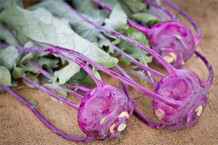 Su hào tím là giống ngắn ngày (2 tháng), rất ít lá và lá rất ngắn, cỡ 15 - 20 cm, cọng mỏng.