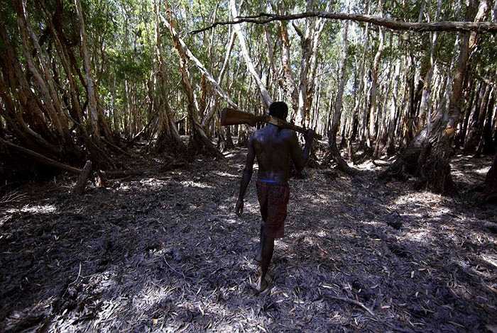 Roy Gaykamangu, một người đàn ông thuộc bộ lạc Yolngu đang tiến vào một khu rừng ở phía Đông hòn đảo để bắt đầu cho chuyến đi săn thường nhật.